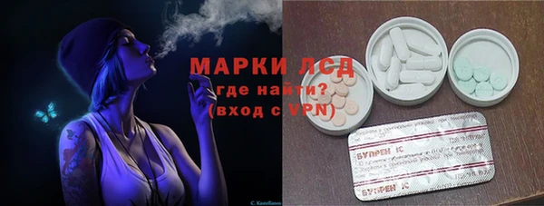 прущие грибы Нязепетровск
