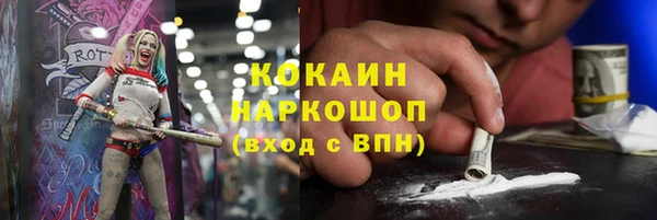 прущие грибы Нязепетровск