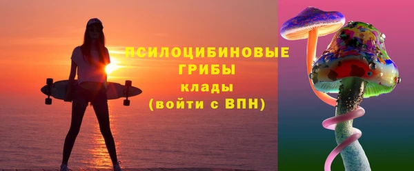 a pvp Няндома
