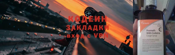 прущие грибы Нязепетровск
