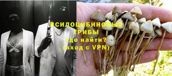 крисы Кущёвская