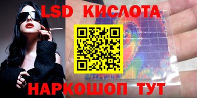 амф Гусев