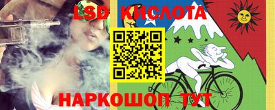 амф Гусев