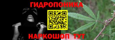 амф Гусев