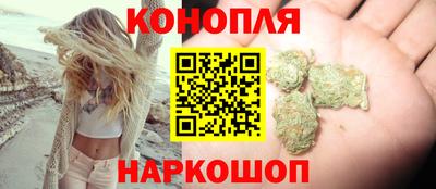 амф Гусев