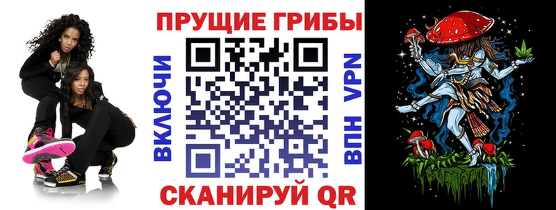 мориарти клад  omg зеркало  Галлюциногенные грибы Psilocybe  Корсаков  где купить наркоту 