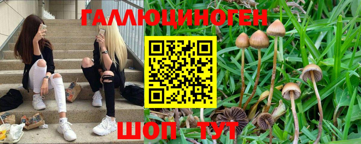 Галлюциногенные грибы GOLDEN TEACHER  Вход с VPN  Корсаков 