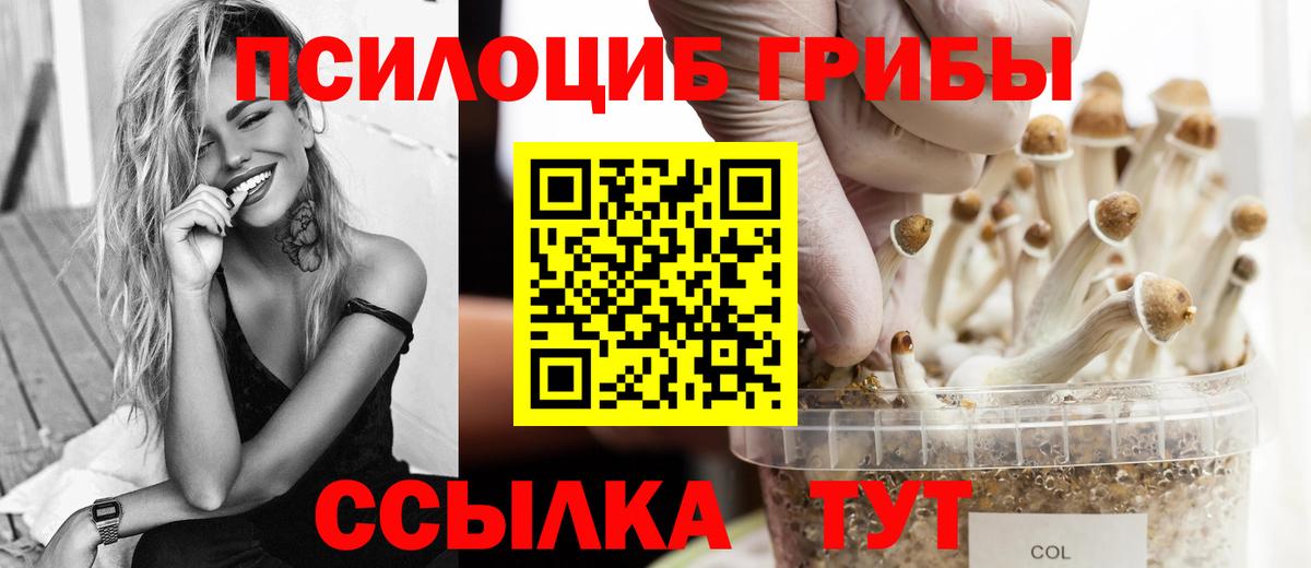 Псилоцибиновые грибы GOLDEN TEACHER  Корсаков  купить  цена  Галлюциногенные грибы прущие грибы 